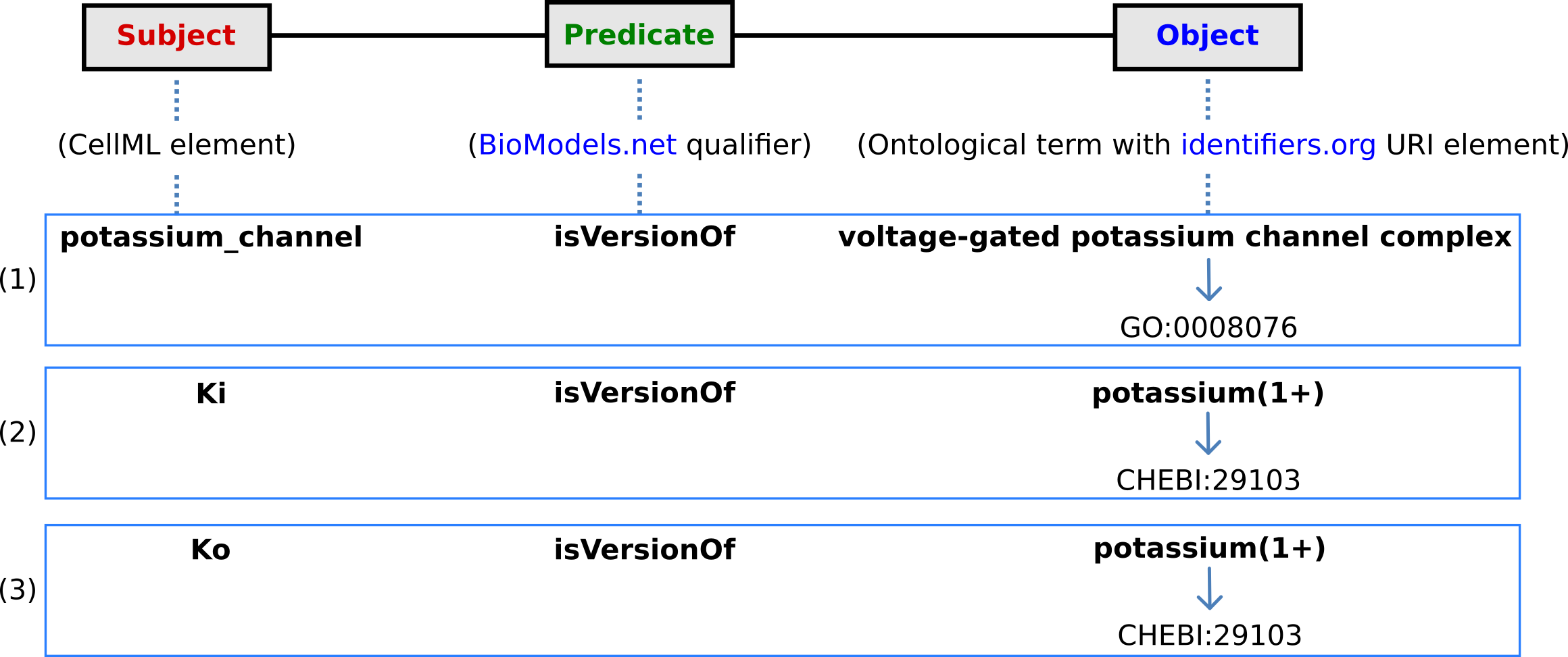 Annotation of the potassium channel diagram
