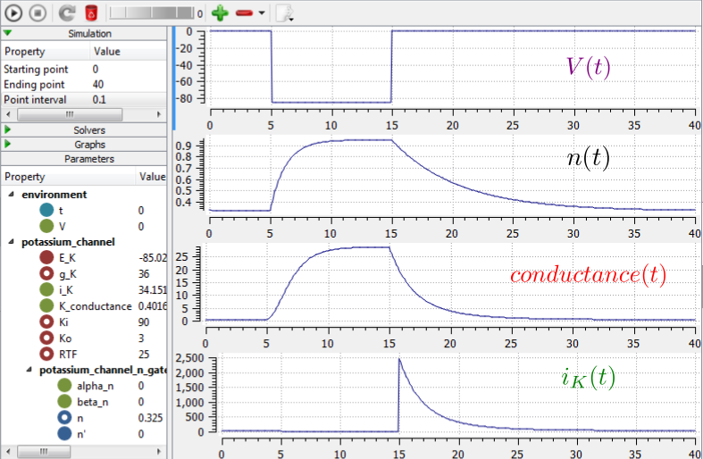 Kinetics of the potassium channel